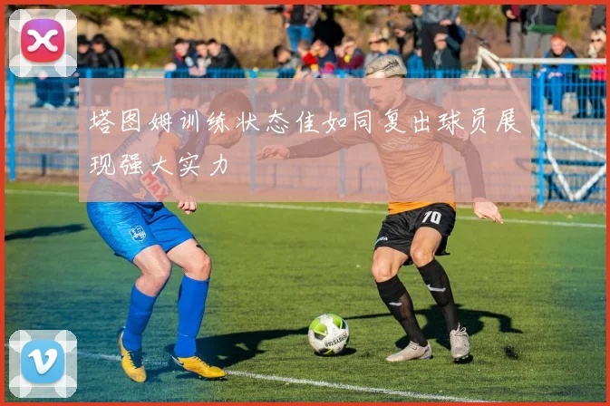 塔图姆训练状态佳如同复出球员展现强大实力