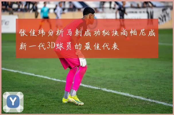 张佳玮分析马刺成功秘诀尚帕尼成新一代3D球员的最佳代表