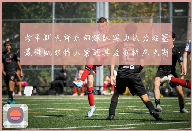 考辛斯点评东部球队实力认为活塞最强凯尔特人紧随其后分析尼克斯不足之处